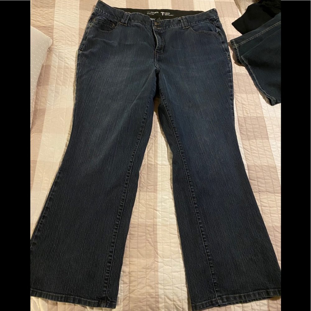 Lane Bryant Tighter Tummy Technology Jeans